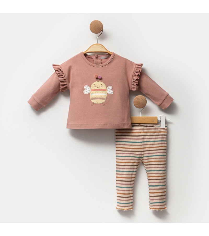 KIZ RENKLİ ÇİZGİLİ ARI TAKIM